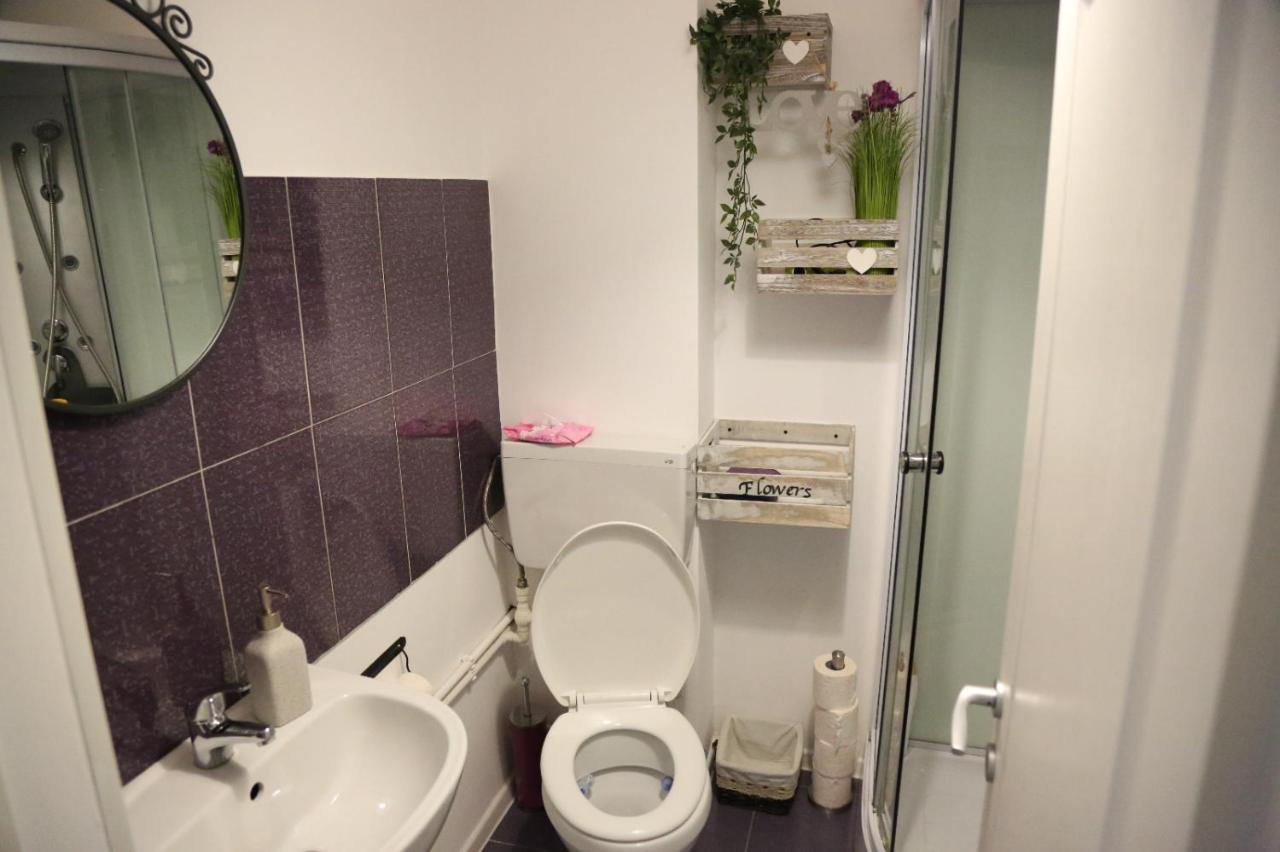 Croma Holiday Petrosani Apartment ภายนอก รูปภาพ